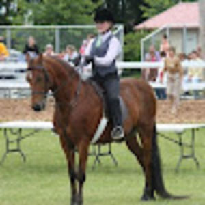 Meet your Posher, Suzanne